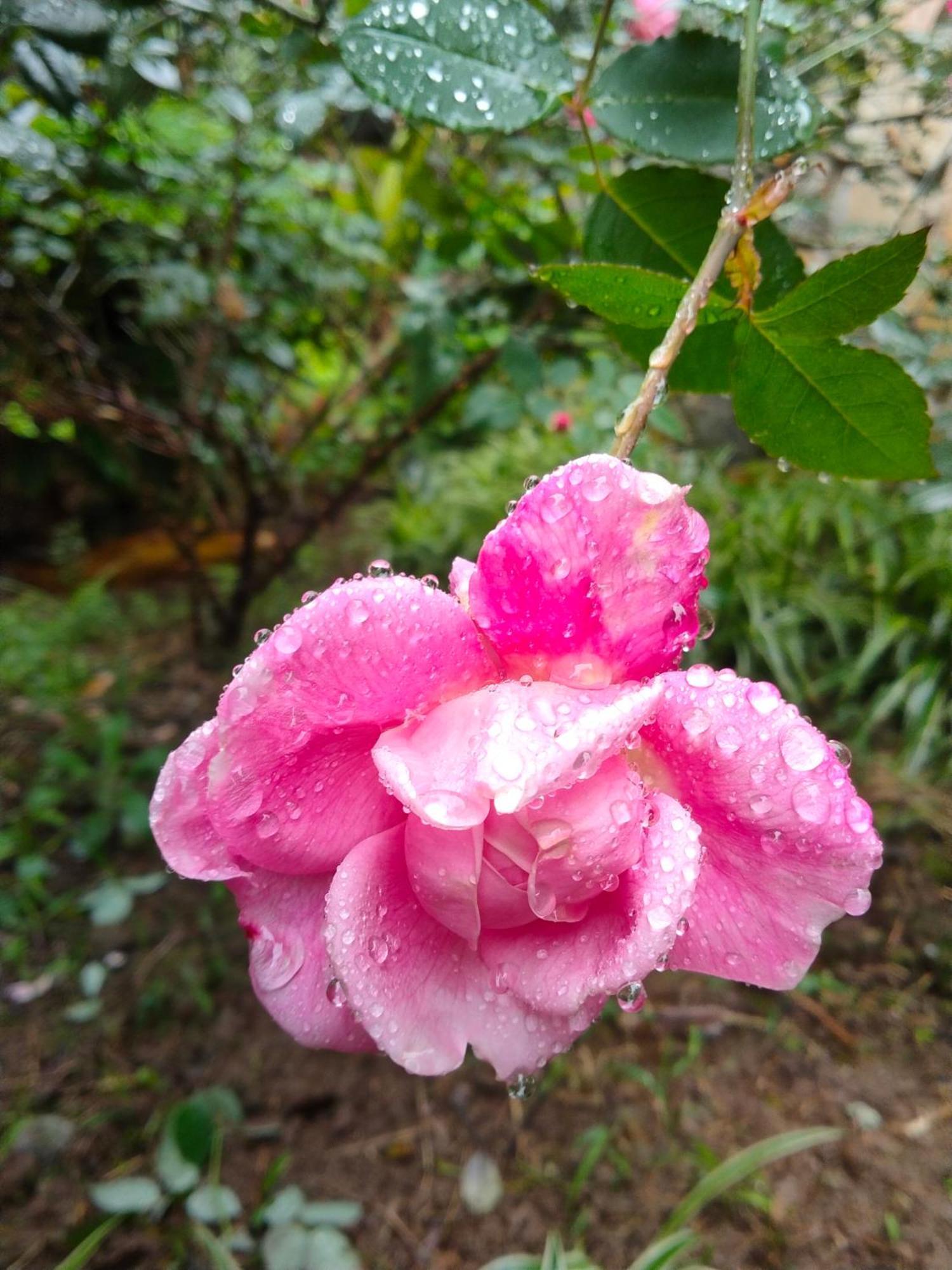 Hang Mua Eco Garden Xuan Son Dış mekan fotoğraf
