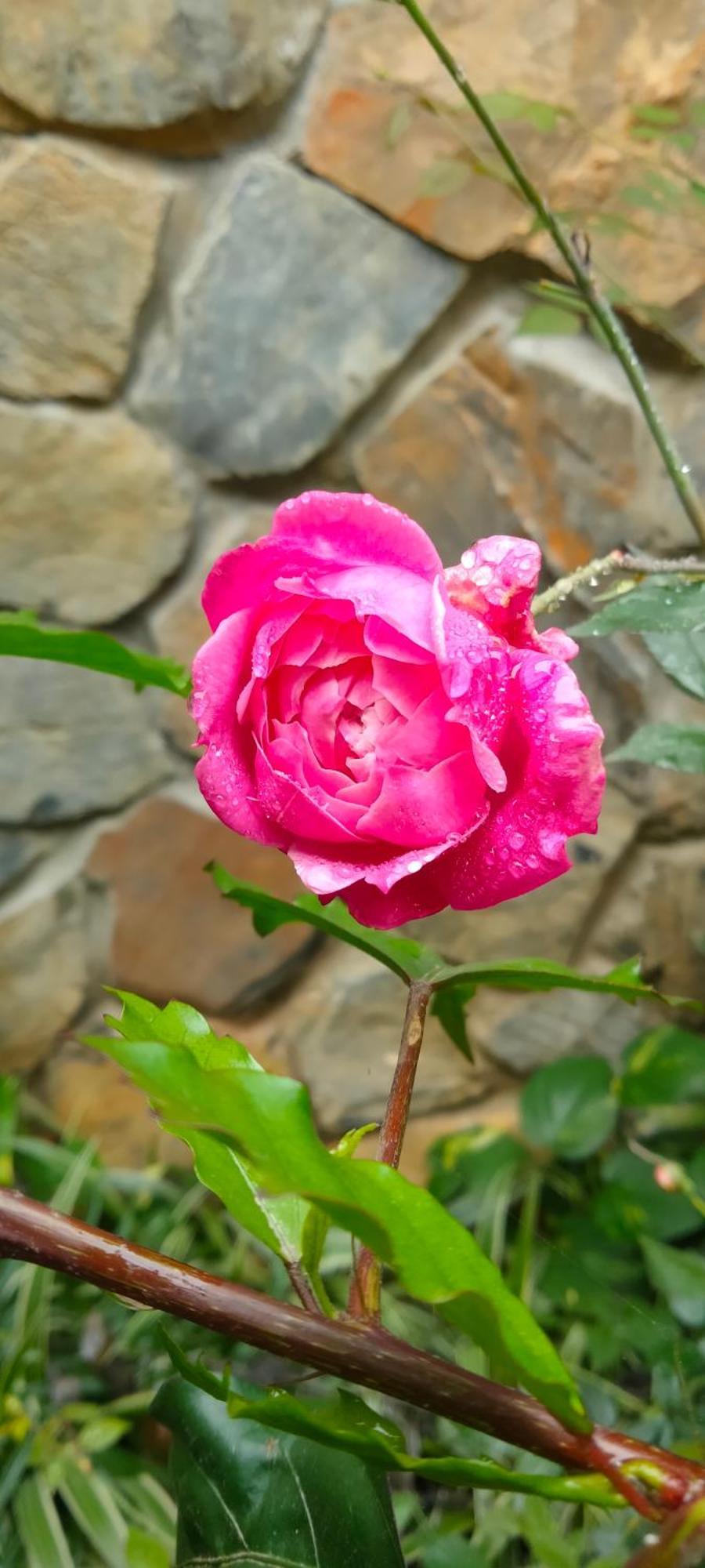 Hang Mua Eco Garden Xuan Son Dış mekan fotoğraf