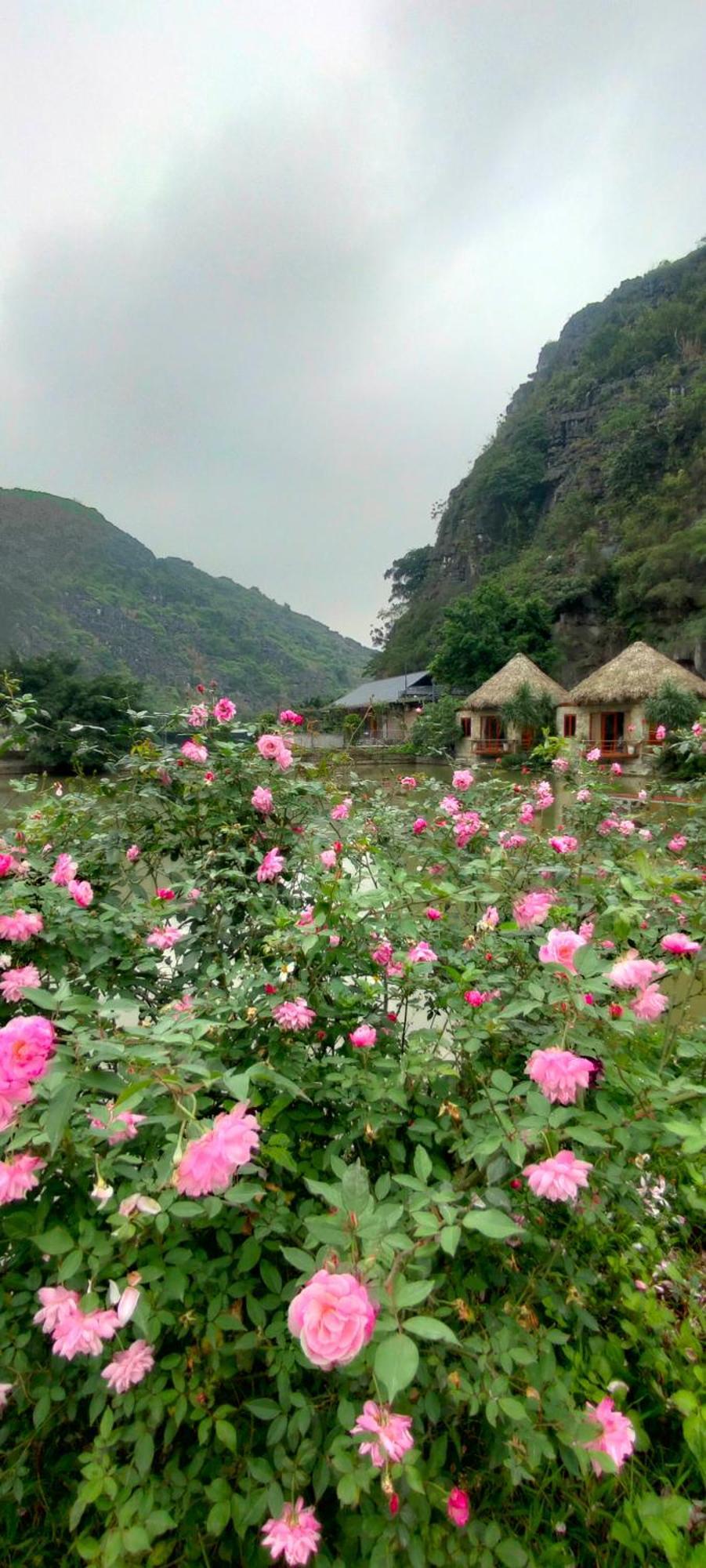 Hang Mua Eco Garden Xuan Son Dış mekan fotoğraf