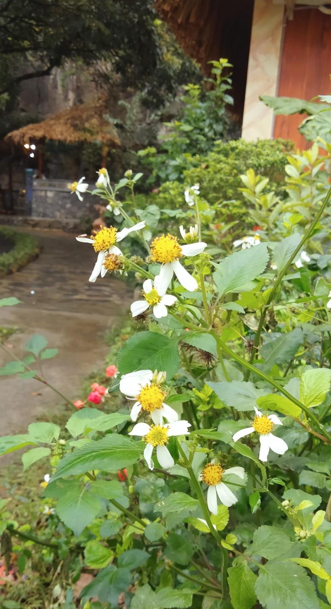 Hang Mua Eco Garden Xuan Son Dış mekan fotoğraf