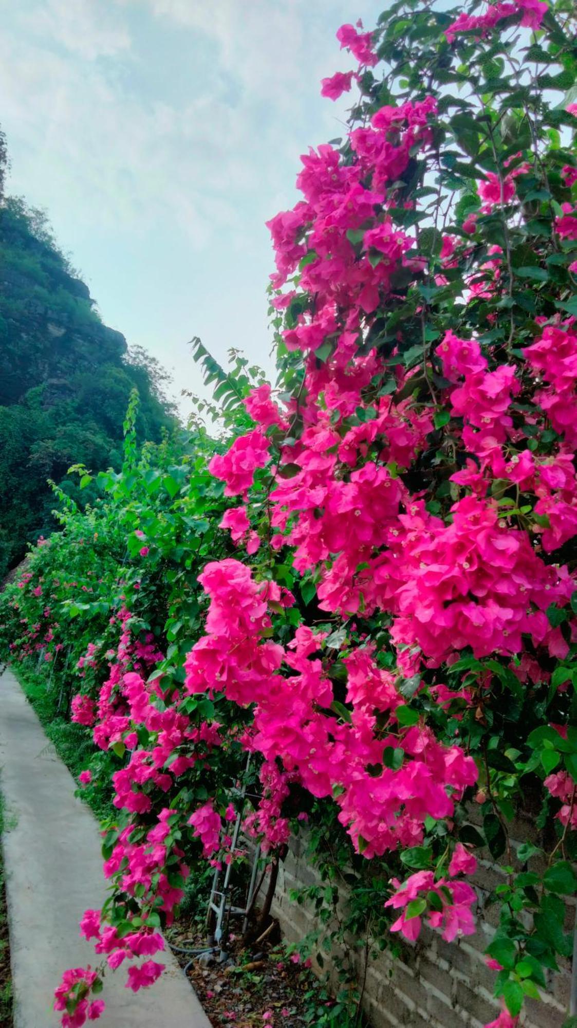 Hang Mua Eco Garden Xuan Son Dış mekan fotoğraf