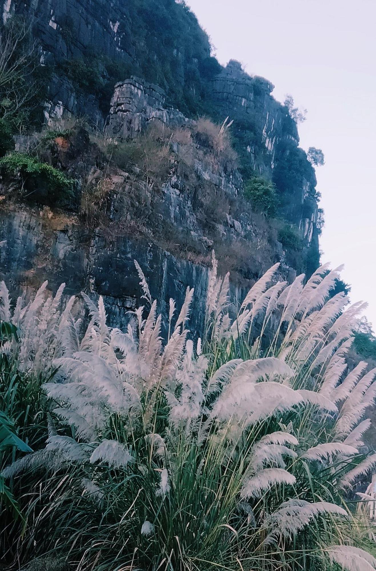 Hang Mua Eco Garden Xuan Son Dış mekan fotoğraf