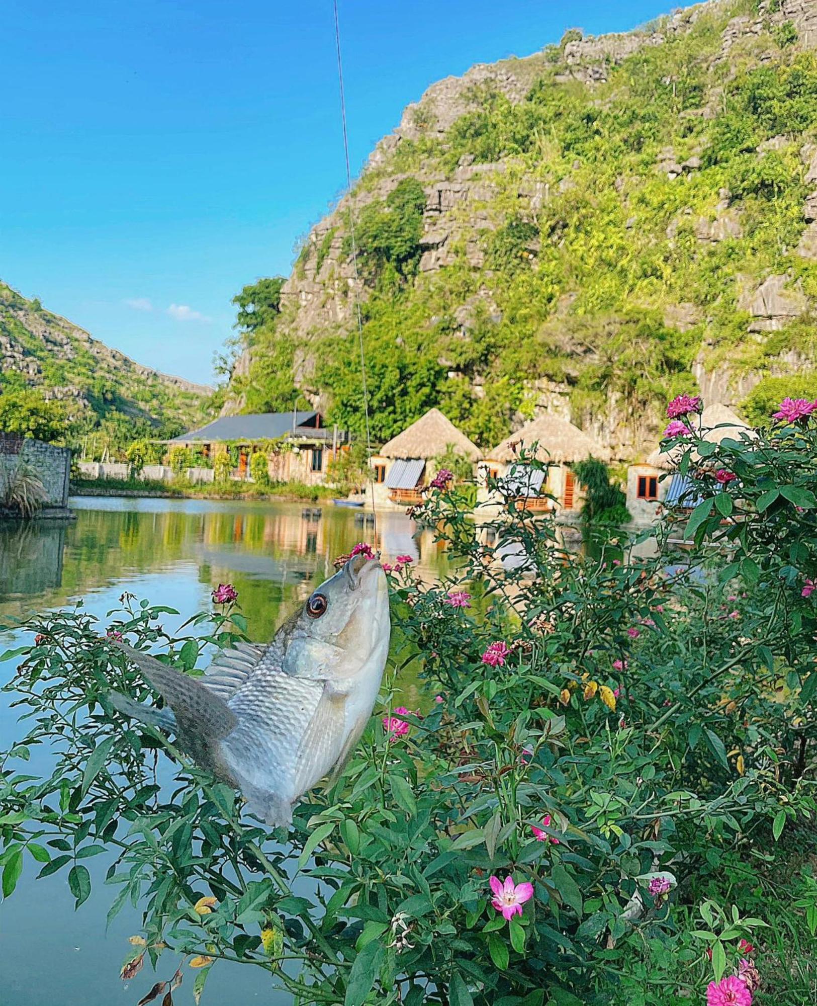 Hang Mua Eco Garden Xuan Son Dış mekan fotoğraf