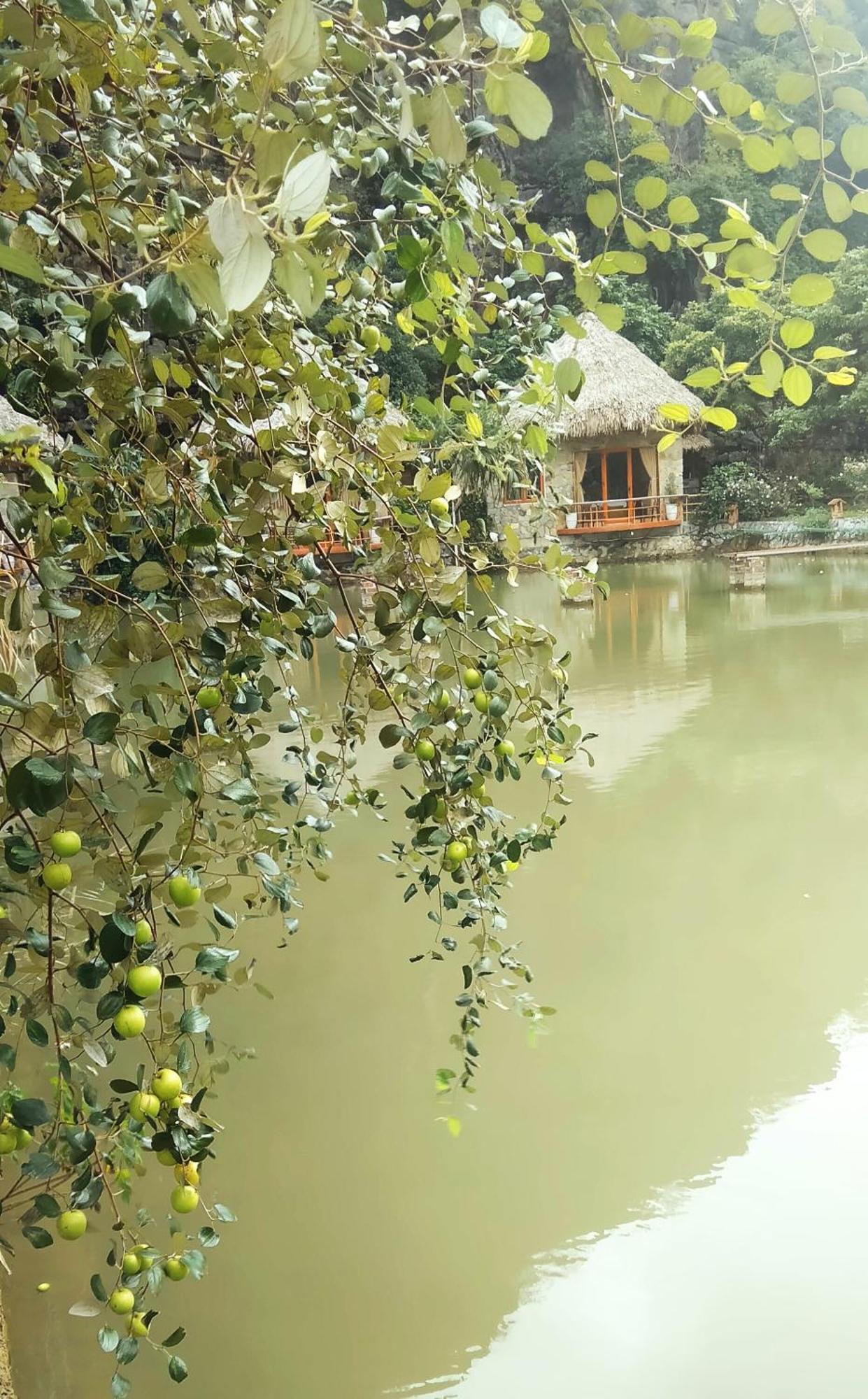 Hang Mua Eco Garden Xuan Son Dış mekan fotoğraf