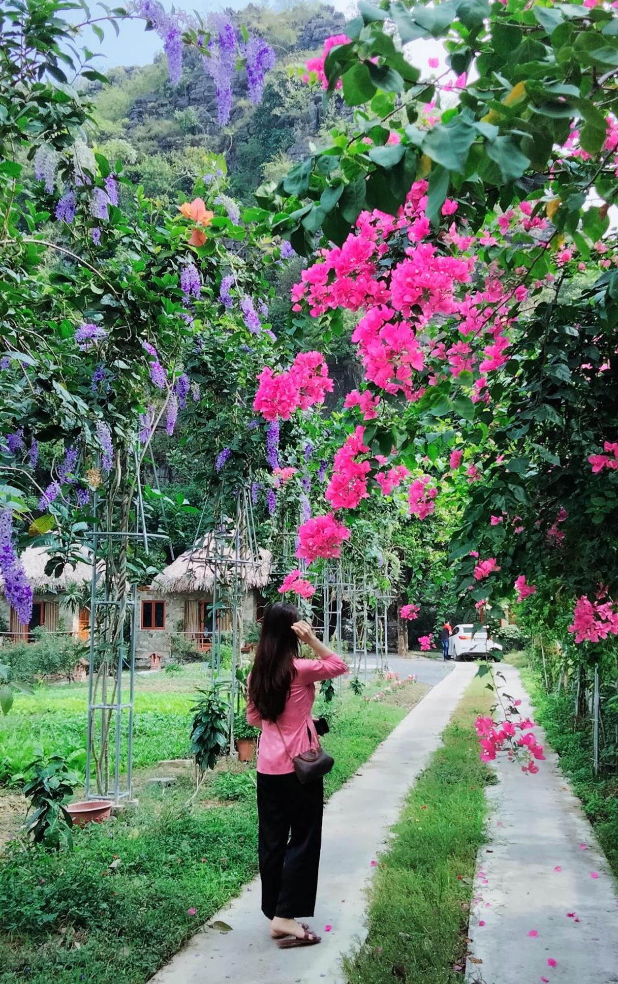 Hang Mua Eco Garden Xuan Son Dış mekan fotoğraf