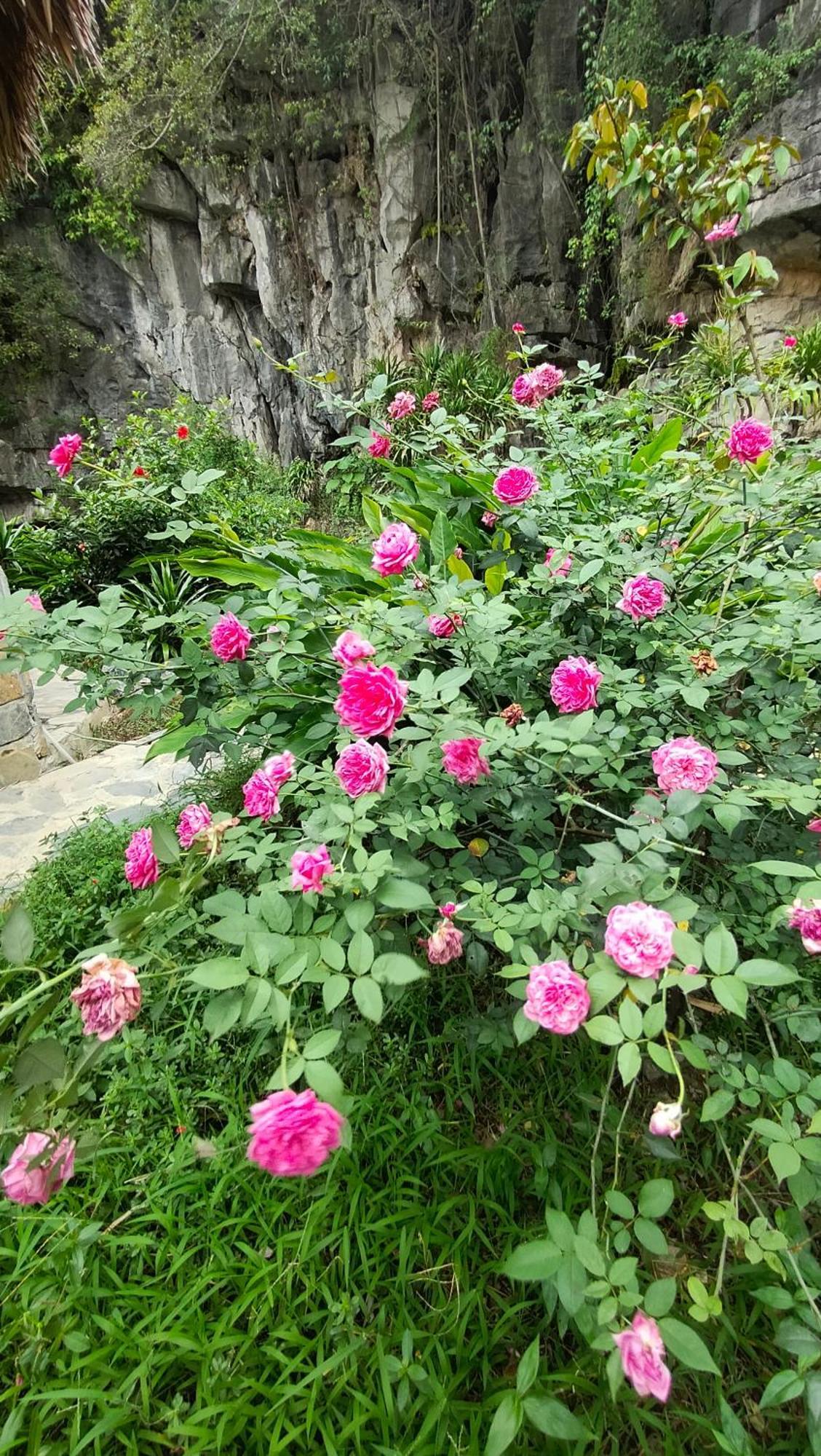 Hang Mua Eco Garden Xuan Son Dış mekan fotoğraf