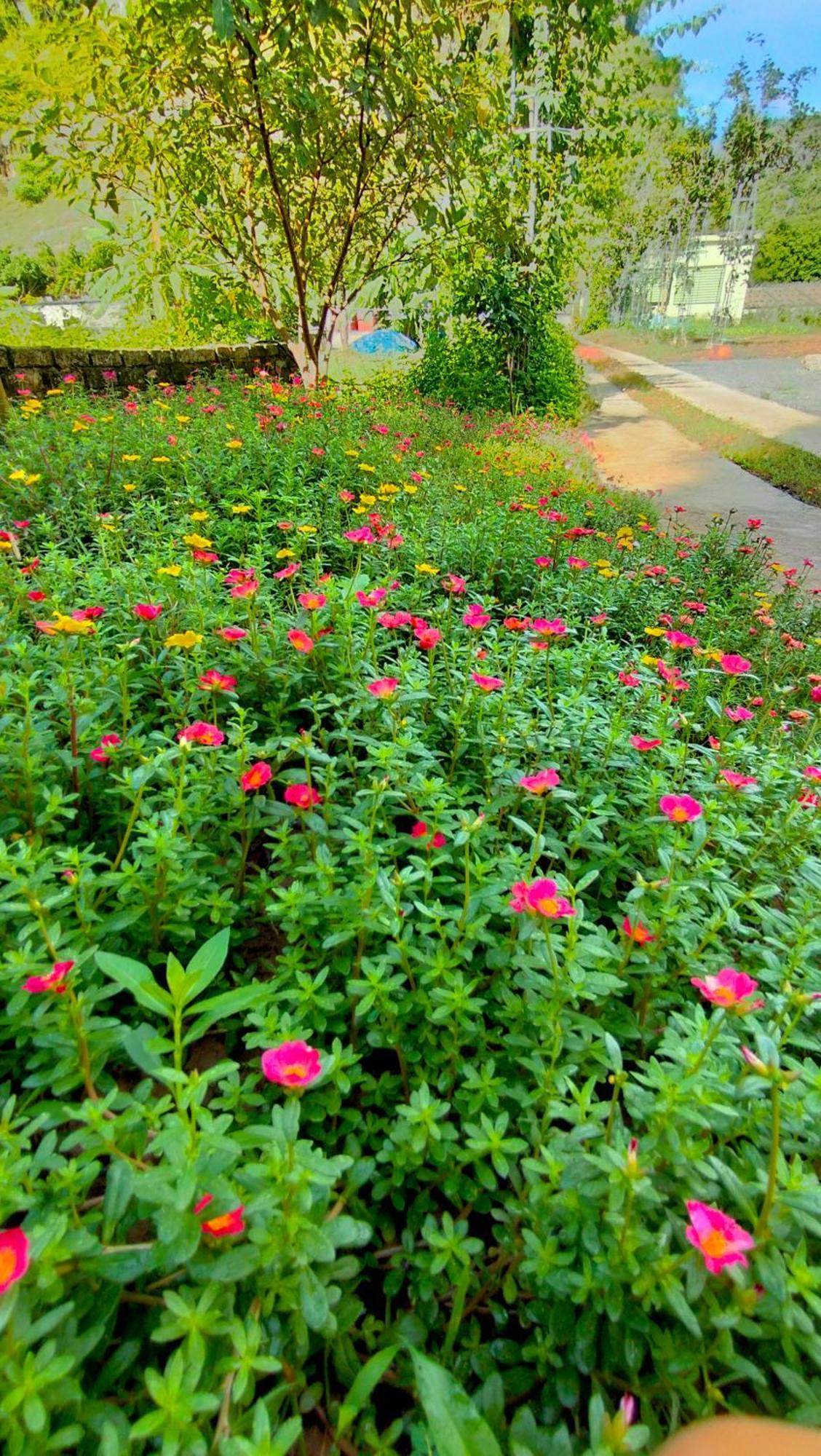 Hang Mua Eco Garden Xuan Son Dış mekan fotoğraf