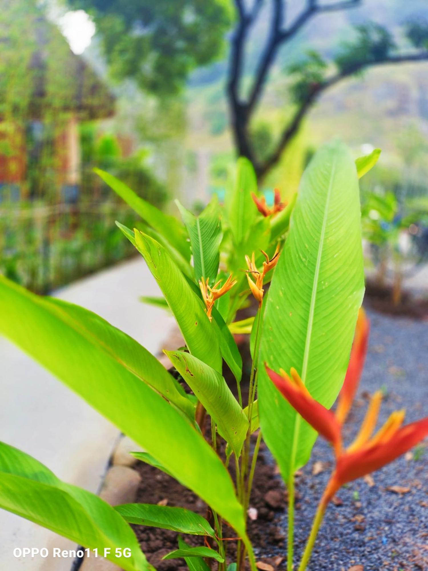 Hang Mua Eco Garden Xuan Son Dış mekan fotoğraf
