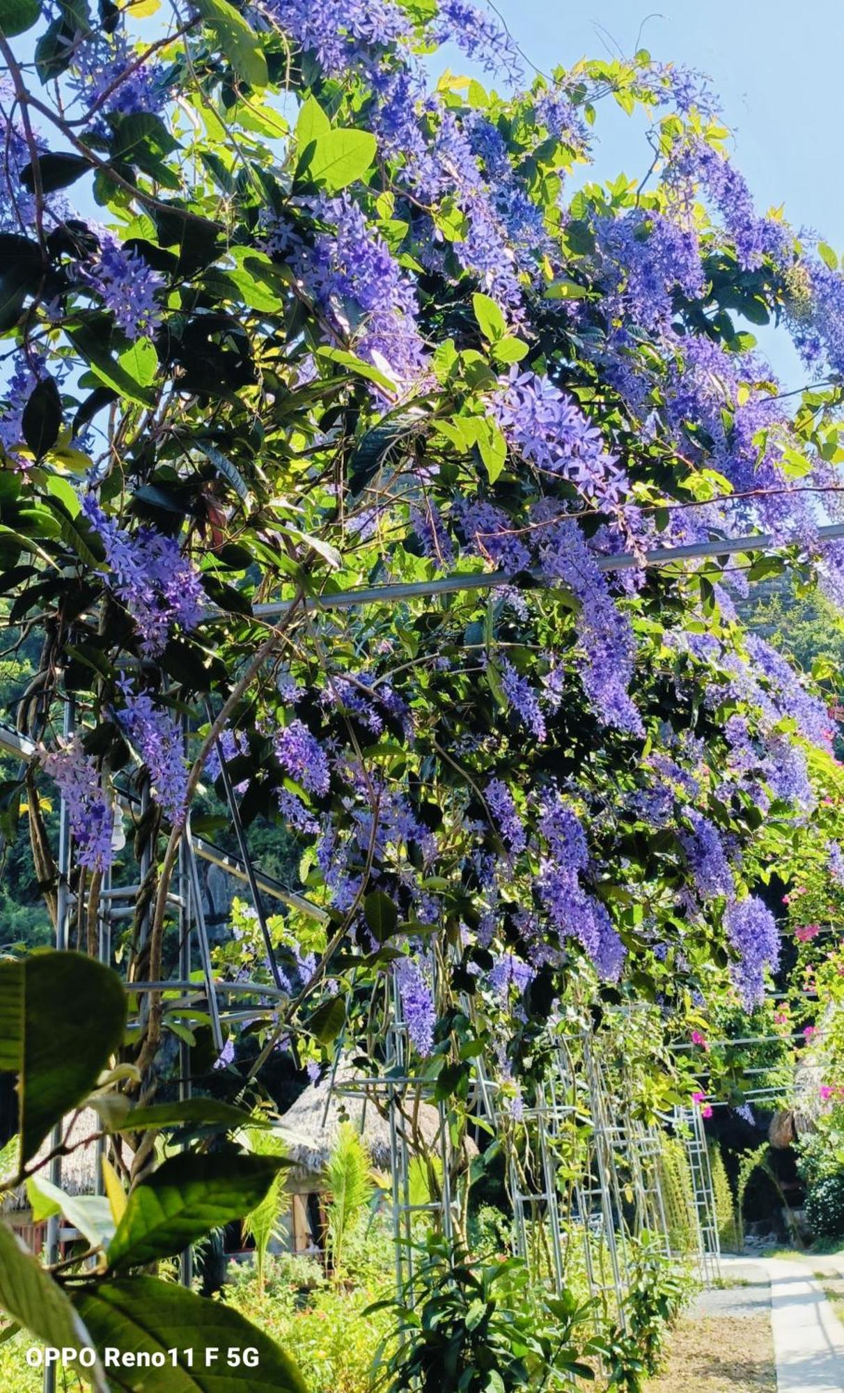 Hang Mua Eco Garden Xuan Son Dış mekan fotoğraf