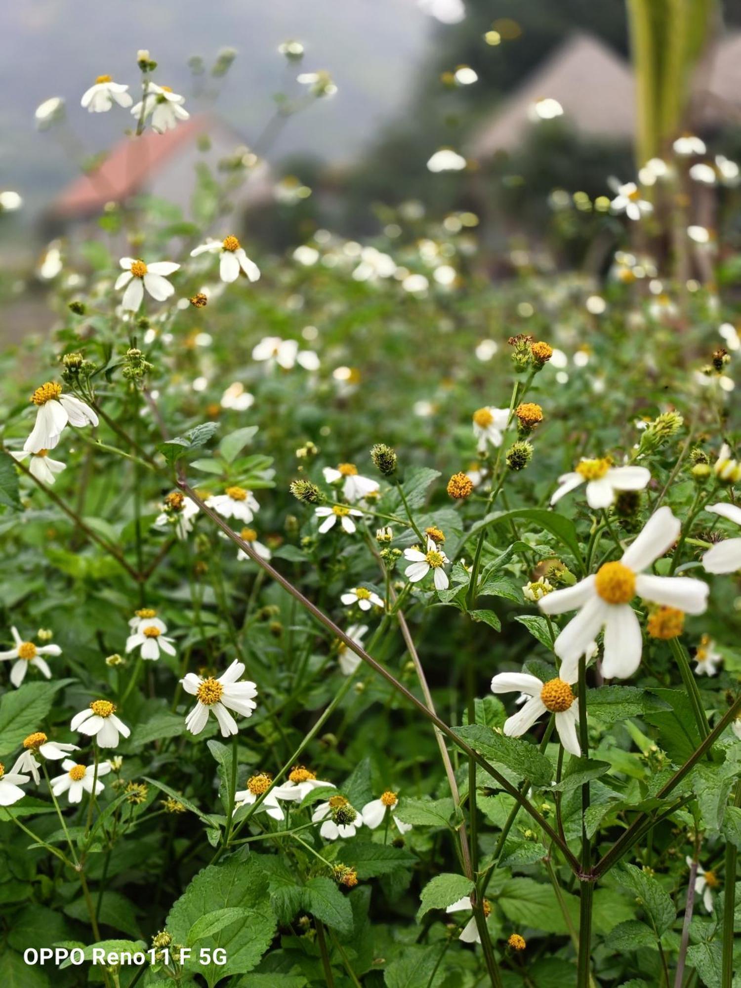 Hang Mua Eco Garden Xuan Son Dış mekan fotoğraf