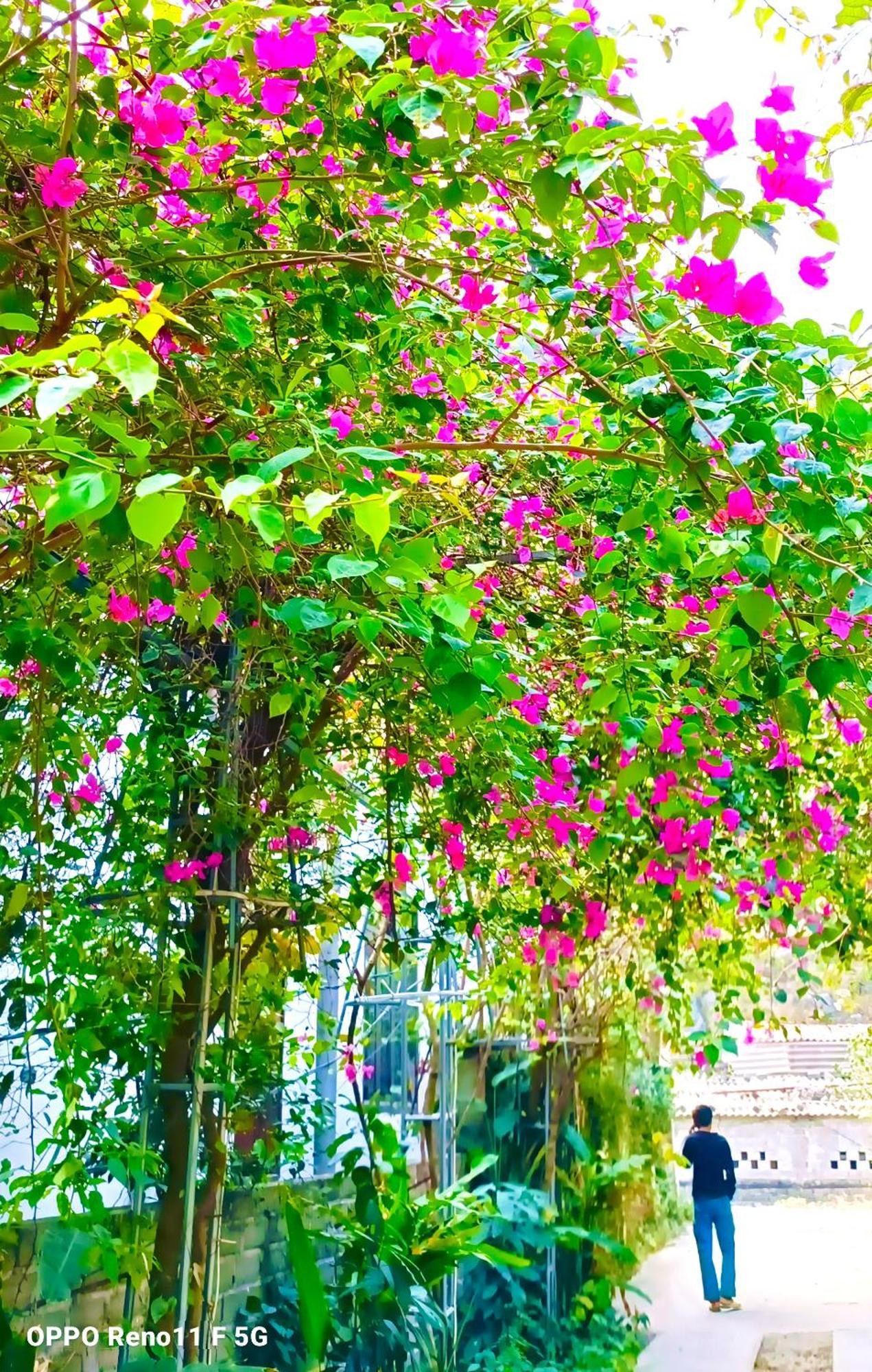 Hang Mua Eco Garden Xuan Son Dış mekan fotoğraf